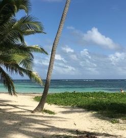 Comment louer une voiture en Martinique ?