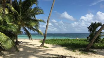 Comment louer une voiture en Martinique ?